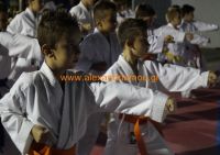 karate (45) (Αντιγραφή)